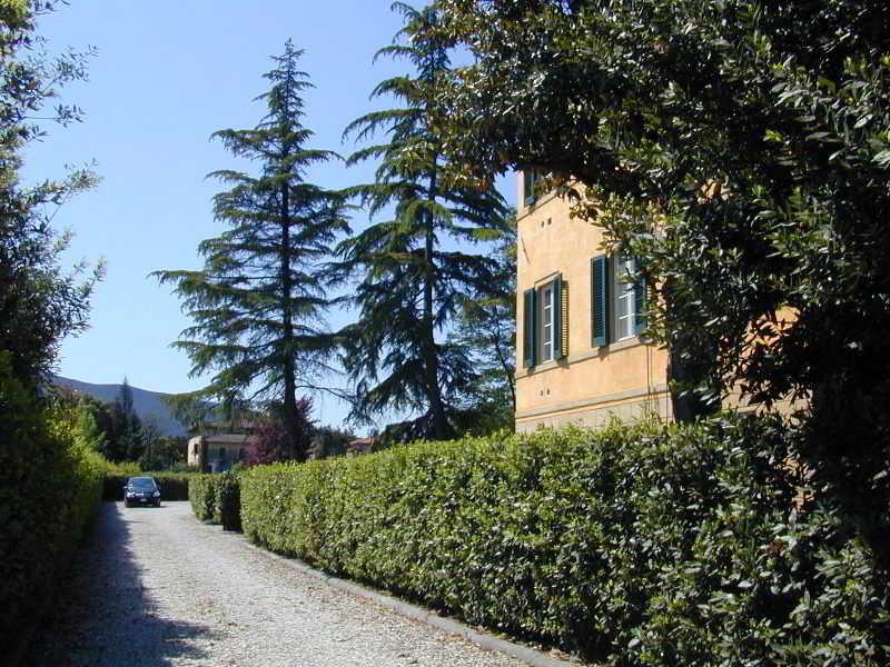Villa La Nina Монтекарло Екстер'єр фото